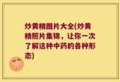 炒黄精图片大全(炒黄精照片集锦，让你一次了解这种中药的各种形态)