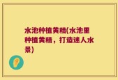 水池种植黄精(水池里种植黄精，打造迷人水景)