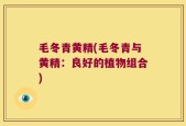 毛冬青黄精(毛冬青与黄精：良好的植物组合)