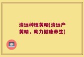清远种植黄精(清远产黄精，助力健康养生)