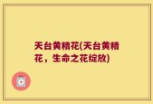 天台黄精花(天台黄精花，生命之花绽放)
