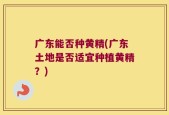 广东能否种黄精(广东土地是否适宜种植黄精？)