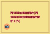 西双版纳黄精回收(西双版纳加强黄精回收保护工作)