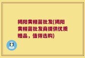 揭阳黄精苗批发(揭阳黄精苗批发商提供优质赠品，值得选购)