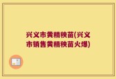 兴义市黄精秧苗(兴义市销售黄精秧苗火爆)