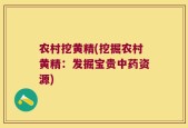 农村挖黄精(挖掘农村黄精：发掘宝贵中药资源)