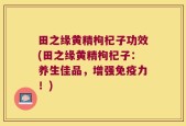 田之缘黄精枸杞子功效(田之缘黄精枸杞子：养生佳品，增强免疫力！)