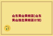 山东黄山黄精苗(山东黄山推出黄精苗计划)