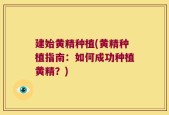 建始黄精种植(黄精种植指南：如何成功种植黄精？)