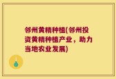 邻州黄精种植(邻州投资黄精种植产业，助力当地农业发展)