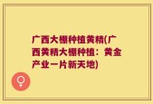 广西大棚种植黄精(广西黄精大棚种植：黄金产业一片新天地)