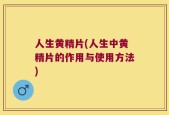 人生黄精片(人生中黄精片的作用与使用方法)