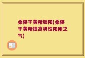 桑椹干黄精锁阳(桑椹干黄精提高男性阳刚之气)