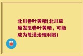 北川卷叶黄精(北川草原发现卷叶黄精，可能成为荒漠治理利器)