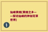仙峰黄精(黄精之乡——探访仙峰的神秘花草世界)