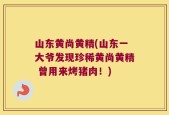 山东黄尚黄精(山东一大爷发现珍稀黄尚黄精 曾用来烤猪肉！)