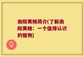 南阳黄精简介(了解南阳黄精：一个值得认识的植物)