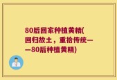 80后回家种植黄精(回归故土，重拾传统——80后种植黄精)