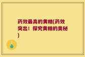 药效最高的黄精(药效突出！探究黄精的奥秘)