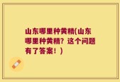 山东哪里种黄精(山东哪里种黄精？这个问题有了答案！)