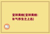 宜祥黄精(宜祥黄精：补气养生之上选)