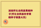 湖南怀化会同县黄精种子(怀化会同县秋季黄精种子销售火热)