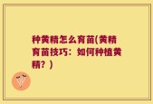 种黄精怎么育苗(黄精育苗技巧：如何种植黄精？)