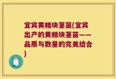 宜宾黄精块茎苗(宜宾出产的黄精块茎苗——品质与数量的完美结合)