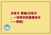 沙苑子 黄精(沙苑子，一种草药的重要成分——黄精)