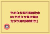 熟地白术黄芪黄精泡水喝(熟地白术黄芪黄精泡水饮用的健康好处)