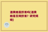 酒黄精是野姜吗(酒黄精是否同野姜？研究揭晓)
