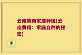云南黄精家庭种植(云南黄精：家庭自种的秘密)