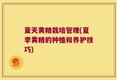 夏天黄精栽培管理(夏季黄精的种植和养护技巧)
