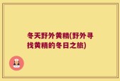 冬天野外黄精(野外寻找黄精的冬日之旅)