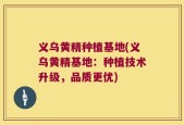 义乌黄精种植基地(义乌黄精基地：种植技术升级，品质更优)