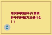 如何种黄精种子(黄精种子的种植方法是什么？)