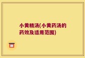 小黄精汤(小黄药汤的药效及适用范围)