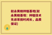 叙永黄精种植基地(叙永黄精基地：种植技术先进采摘时间长，品质保证)