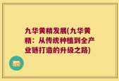 九华黄精发展(九华黄精：从传统种植到全产业链打造的升级之路)