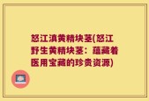 怒江滇黄精块茎(怒江野生黄精块茎：蕴藏着医用宝藏的珍贵资源)