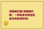 滇黄精烂根(滇黄精烂根：一种具有生物活性成分的民间药材)