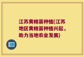 江苏黄精苗种植(江苏地区黄精苗种植兴起，助力当地农业发展)