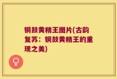 铜鼓黄精王图片(古韵复苏：铜鼓黄精王的重现之美)