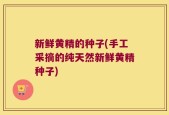 新鲜黄精的种子(手工采摘的纯天然新鲜黄精种子)