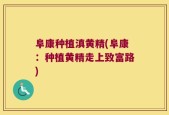 阜康种植滇黄精(阜康：种植黄精走上致富路)