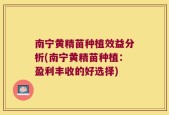 南宁黄精苗种植效益分析(南宁黄精苗种植：盈利丰收的好选择)