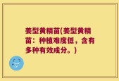 姜型黄精苗(姜型黄精苗：种植难度低，含有多种有效成分。)