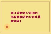 丽江黄精苗公司(丽江稀有植物苗木公司出售黄精苗)