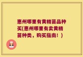惠州哪里有黄精苗品种买(惠州哪里有卖黄精苗种类，购买指南！)