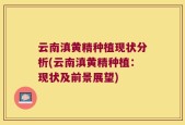云南滇黄精种植现状分析(云南滇黄精种植：现状及前景展望)
